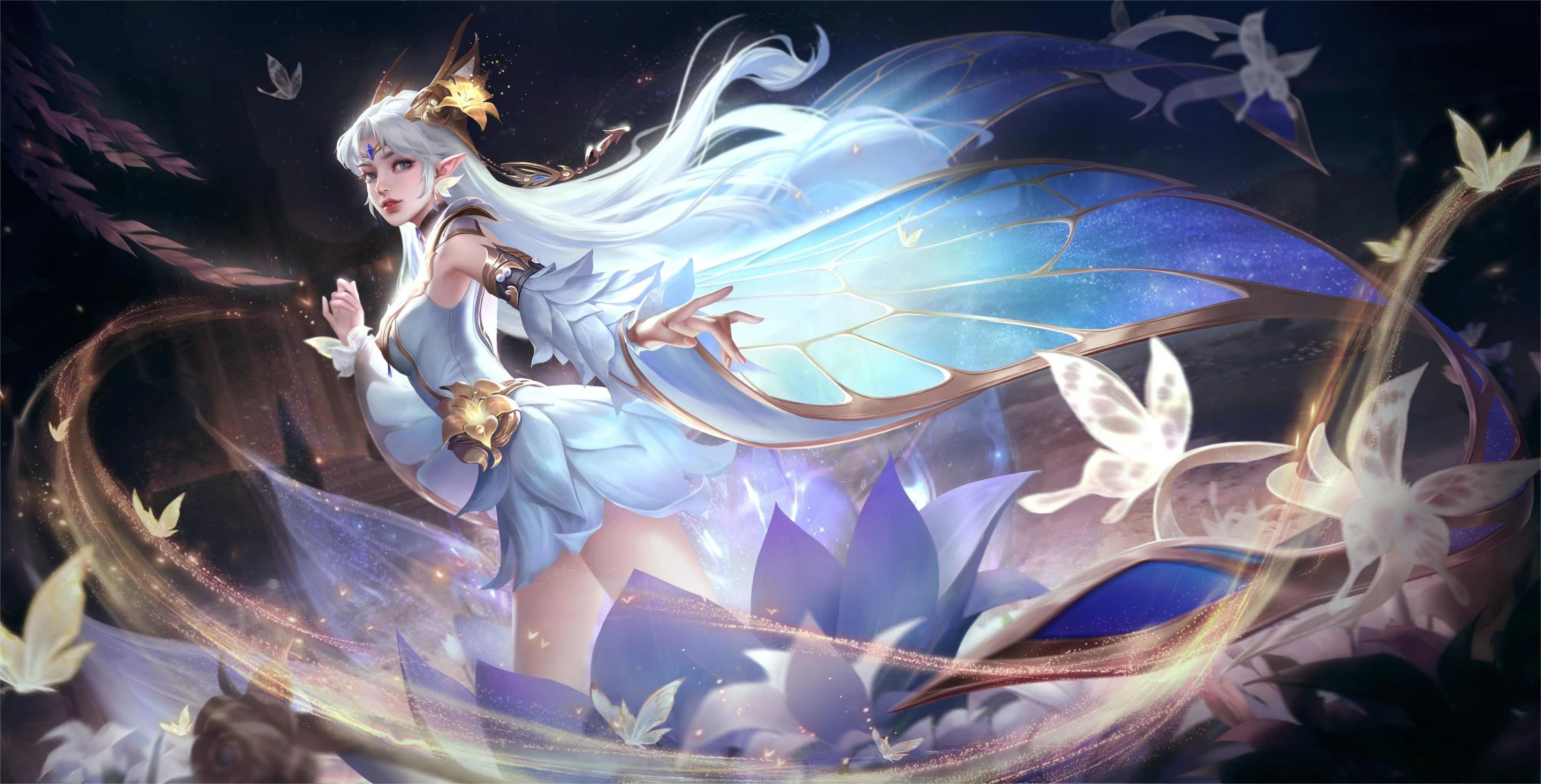 降低了入门 降低了入门