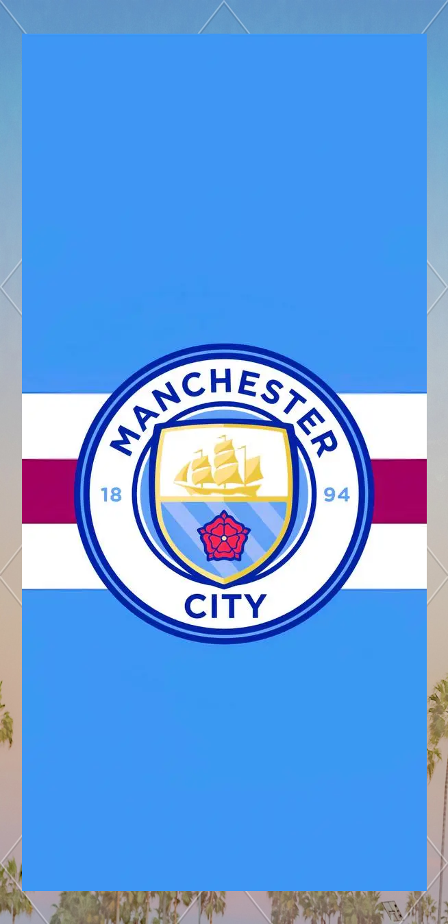 的赢球模型 的赢球模型